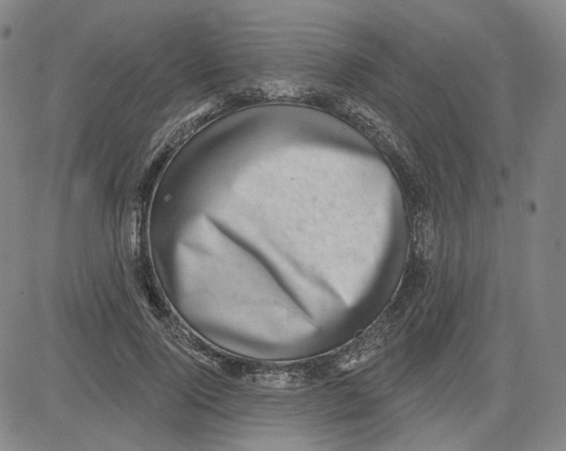 X0000080720740200701051034