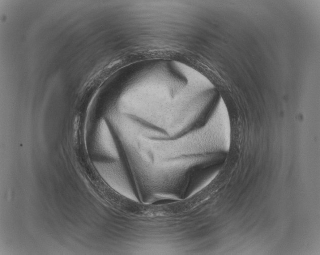 X0000080720742200701051034