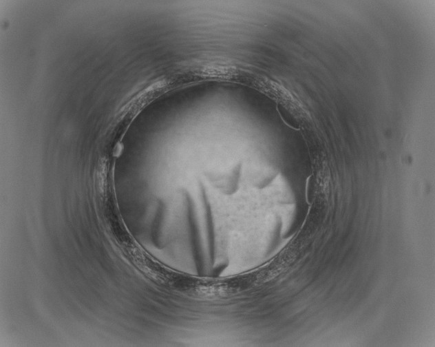 X0000080720744200701051034