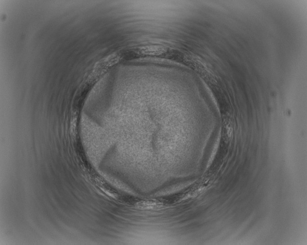 X0000080720745200701051034