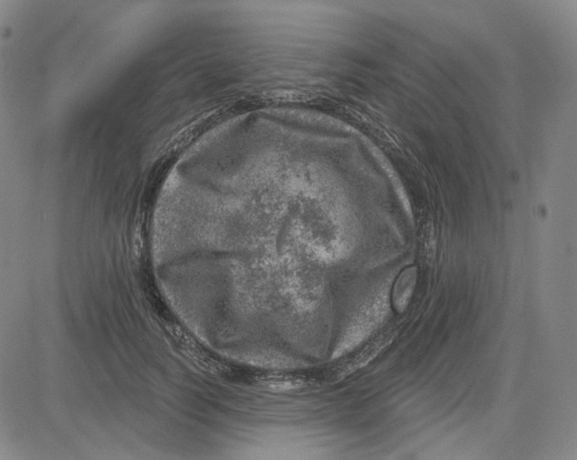 X0000080720746200701051034