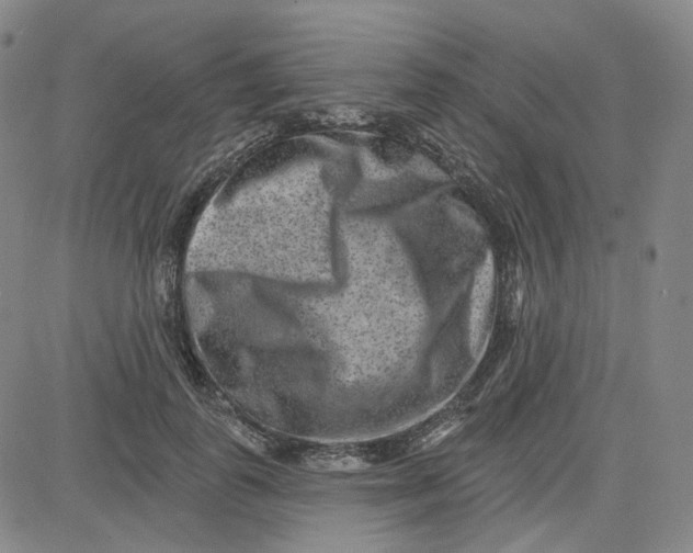 X0000080720747200701051034