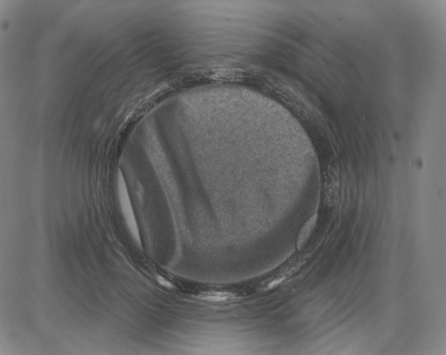 X0000080720748200701051034