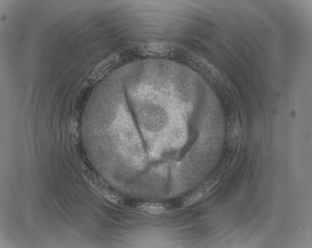 X0000080720749200701051034