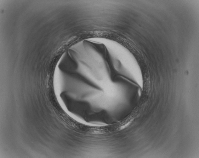 X0000080720750200701051034