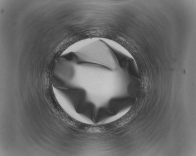 X0000080720751200701051034