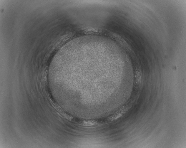 X0000080720753200701051034