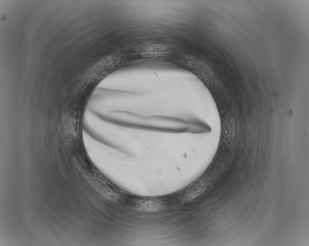 X0000080720755200701051034