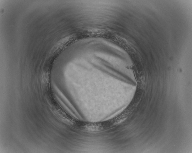 X0000080720756200701051034