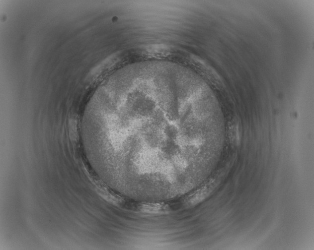 X0000080720757200701051034