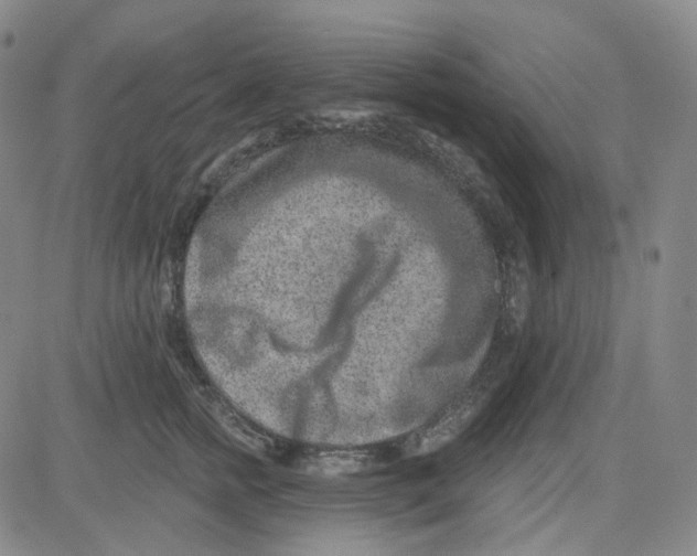 X0000080720758200701051034