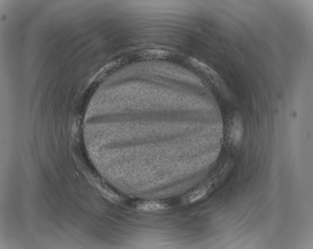 X0000080720759200701051034