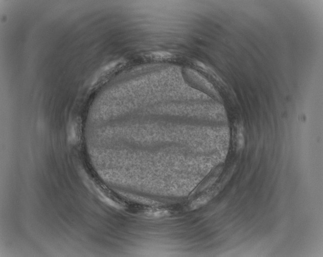 X0000080720760200701051034