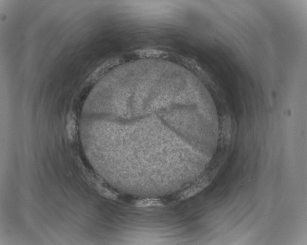 X0000080720761200701051034