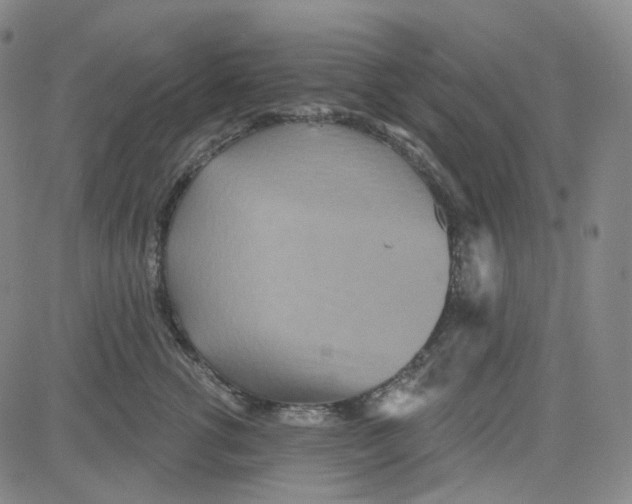 X0000080720762200701051034