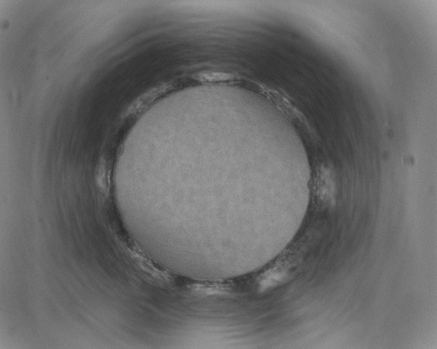 X0000080720763200701051034