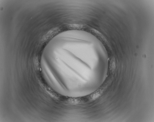 X0000080720764200701051034