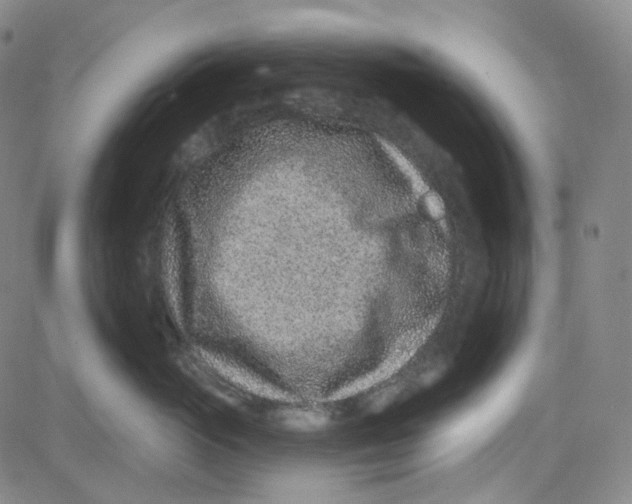 X0000080720765200701051034