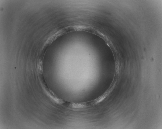 X0000080720766200701051034