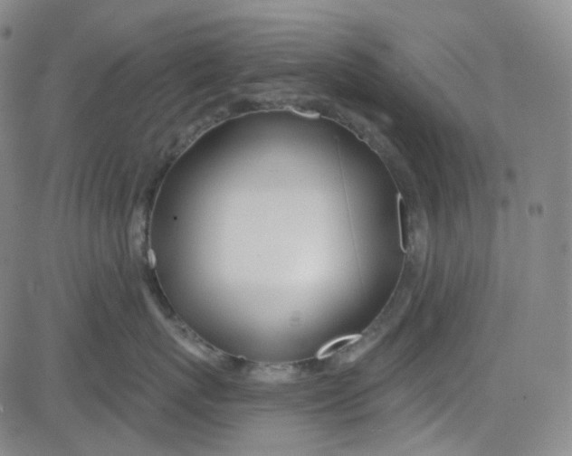 X0000080720767200701051034