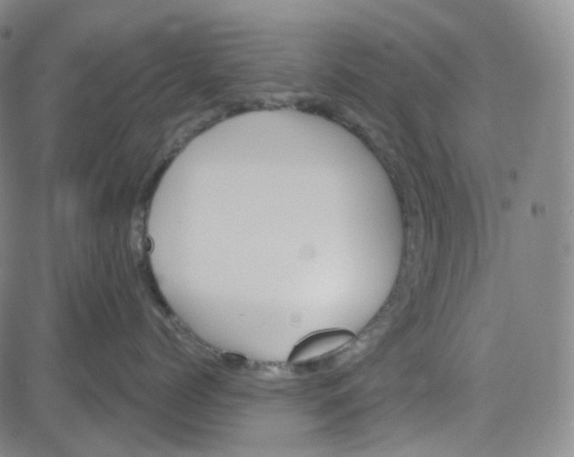 X0000080720768200701051034