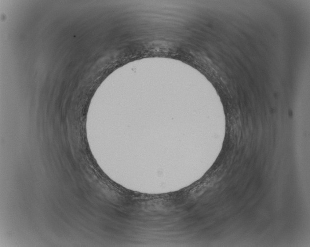 X0000080720769200701051033