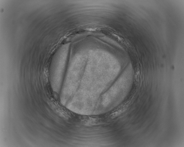 X0000080720772200701051033