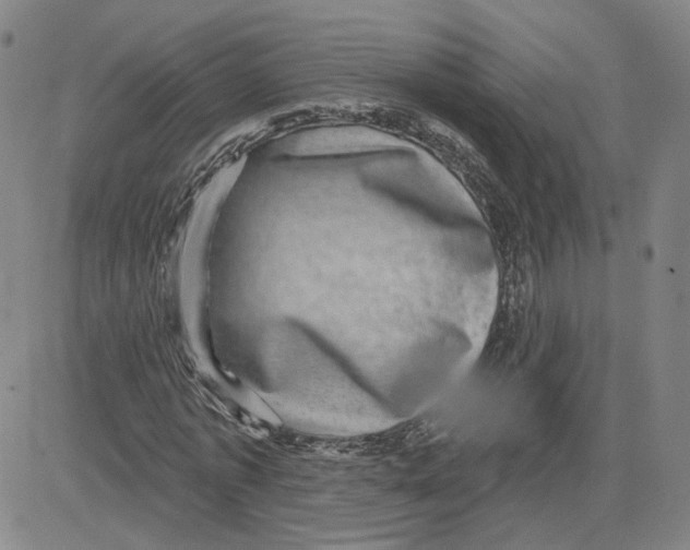 X0000080720773200701051033