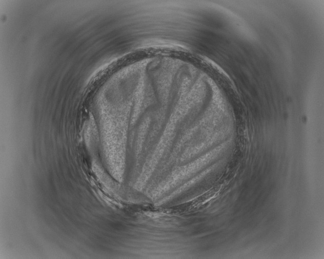 X0000080720775200701051033