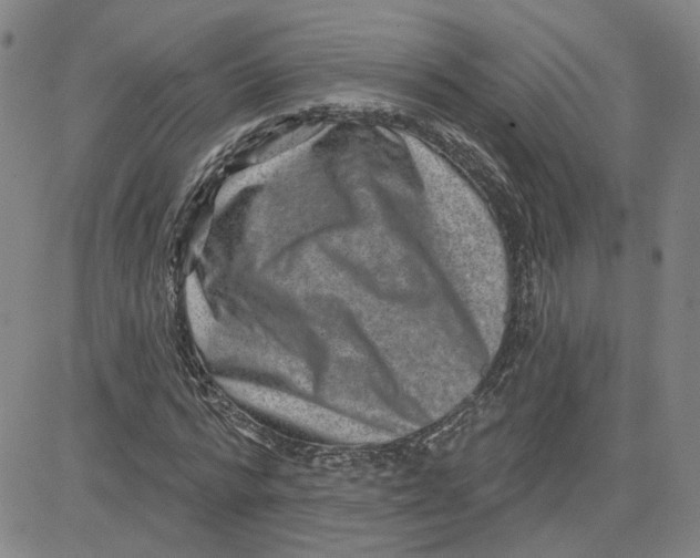 X0000080720776200701051033