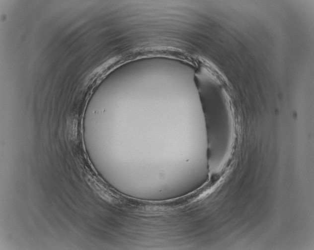 X0000080720777200701051033