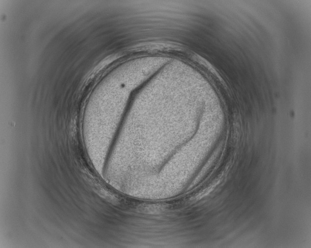 X0000080720778200701051033