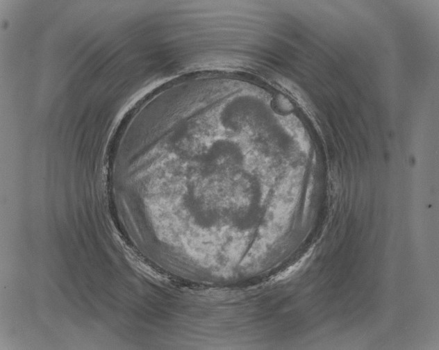 X0000080720779200701051033