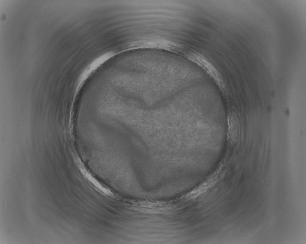 X0000080720780200701051033