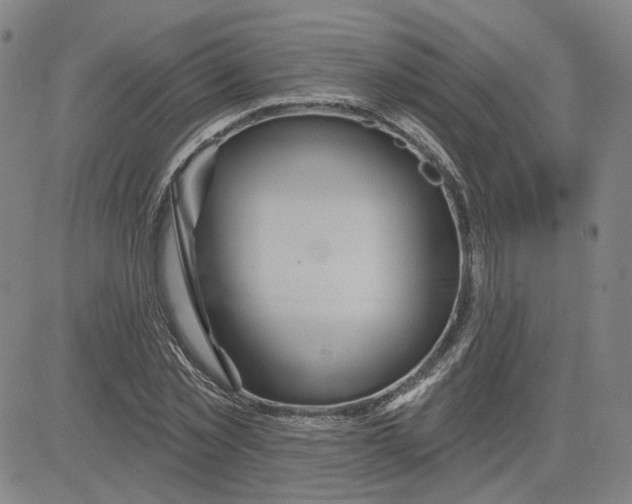 X0000080720781200701051033