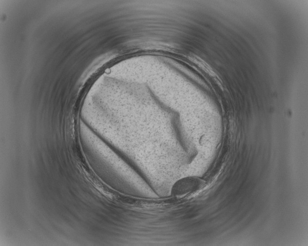 X0000080720782200701051033