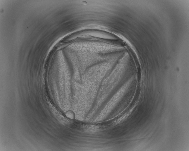 X0000080720783200701051033