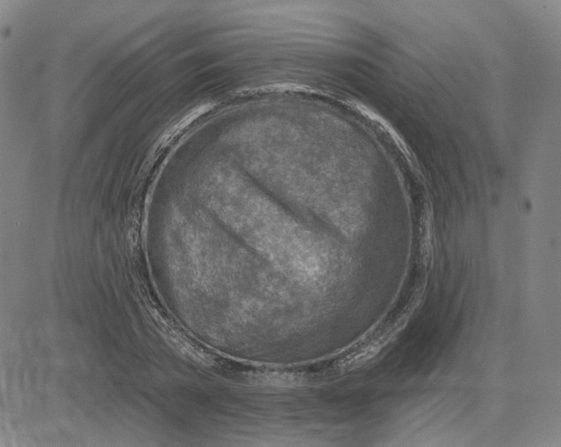 X0000080720785200701051033