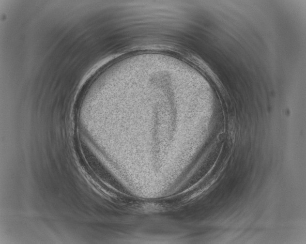 X0000080720787200701051033