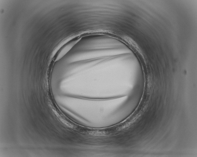 X0000080720789200701051033