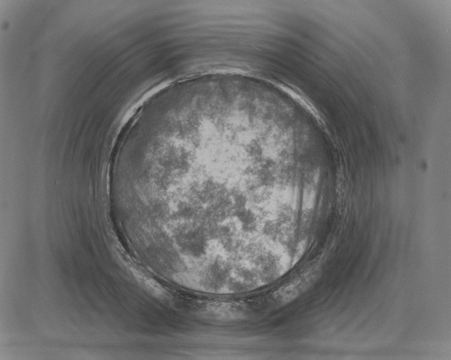 X0000080720790200701051033