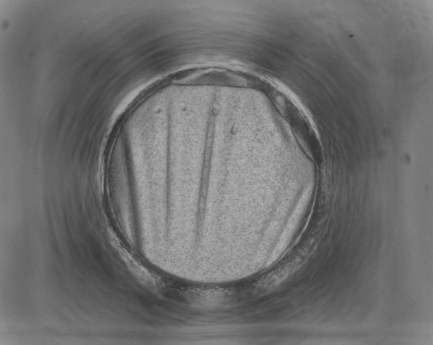 X0000080720791200701051033