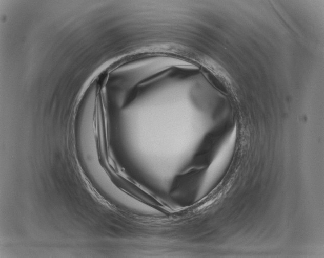 X0000080720792200701051033