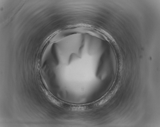 X0000080720793200701051033