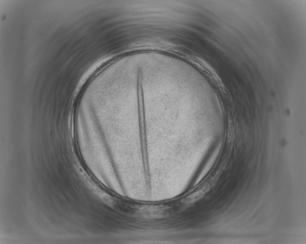 X0000080720796200701051033