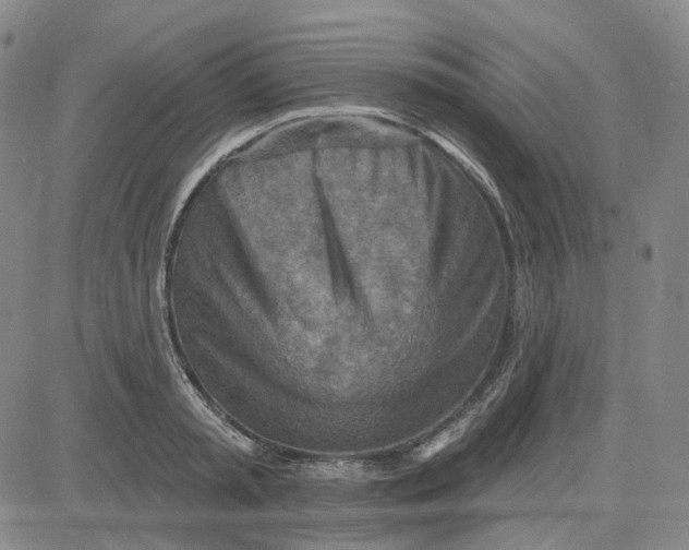 X0000080720797200701051033