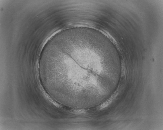 X0000080720798200701051033