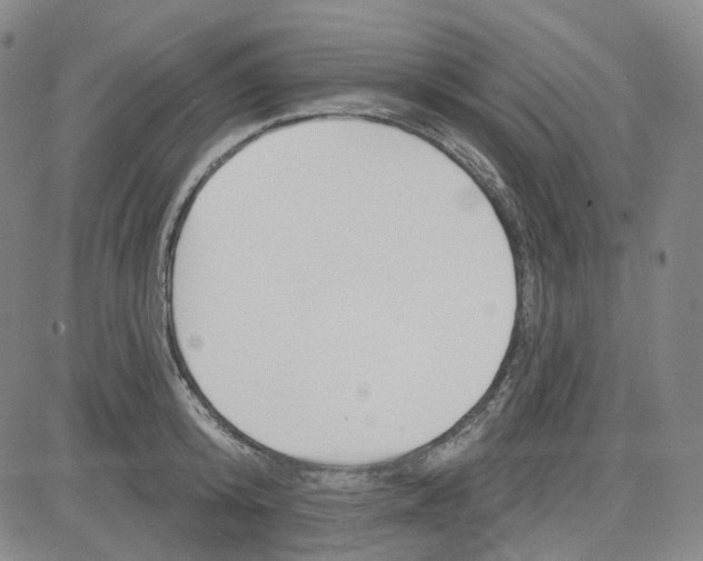 X0000080720800200701051033