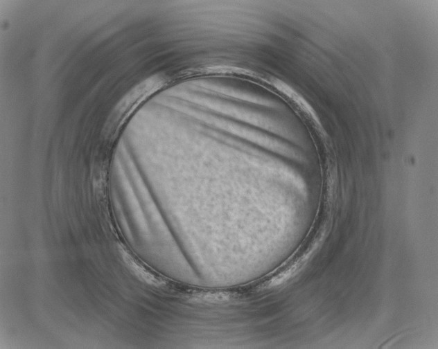 X0000080720801200701051033