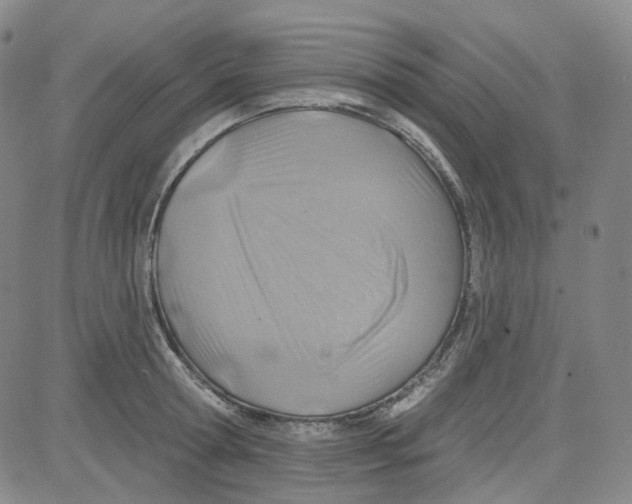 X0000080720802200701051033